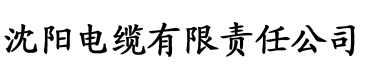 原来的琪琪电影在线看电缆厂logo